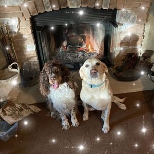 Meet your Posher, Denise